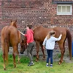 Frühstückspension Double On Farm 3*