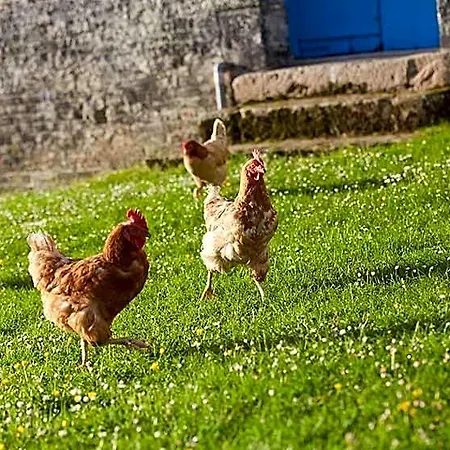 Double On Farm Bed & Breakfast Beaugies-sous-Bois